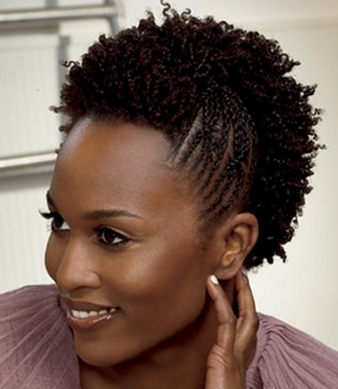 2011 natural black women hairstyle with small braids 260x300 2011 natural 